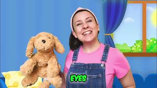Puppy Eye Exam: A Vet's Guide #shorts