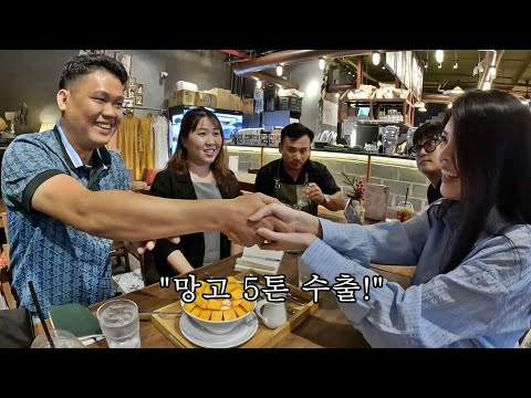 <strong>양심적인</strong> 망고 업체와 바로 계약을 뚫었습니다! 드디어 망고 5톤 수출...