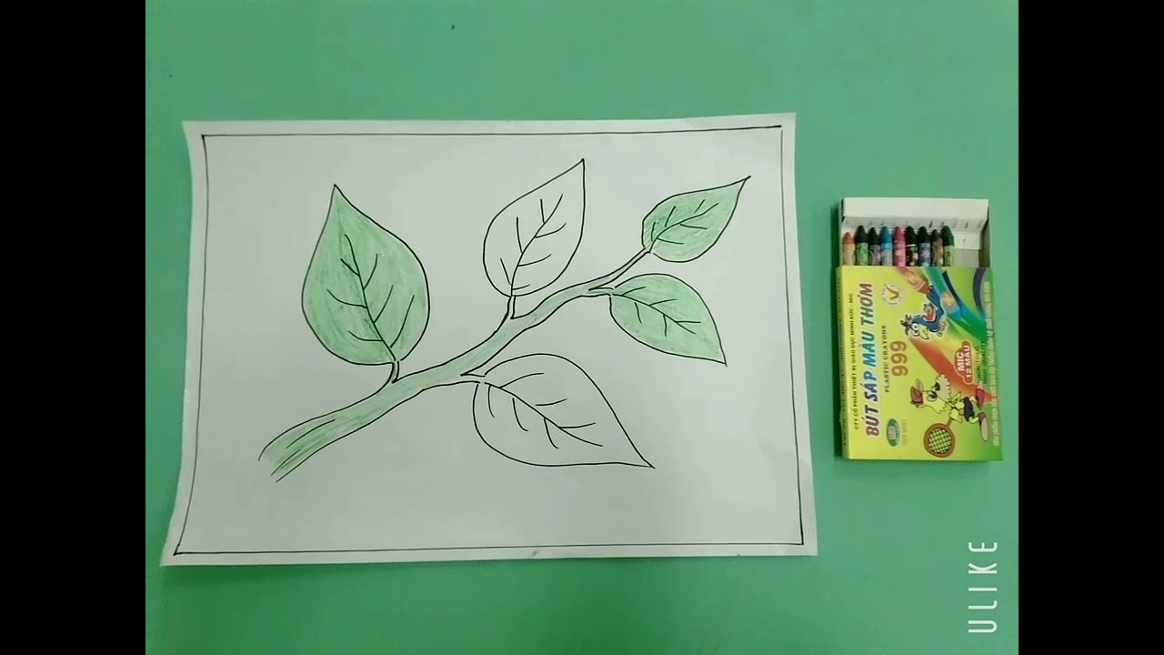 Dạy trẻ: 