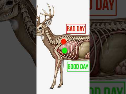 Bowhunting Shot Placement 101 thumbnail