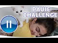 PAUSE CHALLENGE ACIMASIZ KAPIŞMA - DON CHALLENGE ! Fenomen Tv