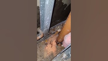 part 60 | Wet carpet part 2