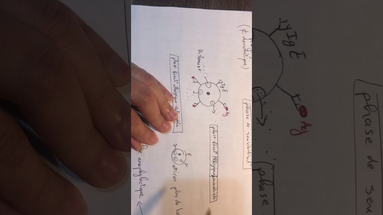 Résumé immunologie (cas de l’Allergie)