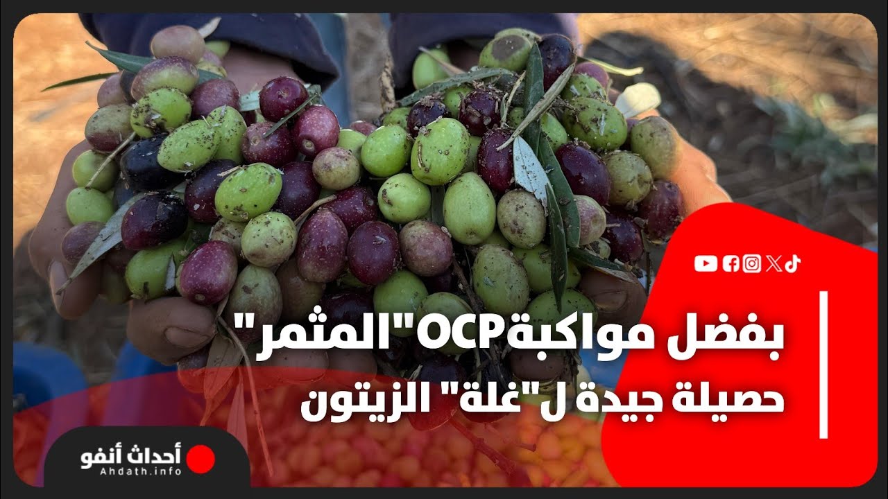 OCP..حصيلة جيدة ل