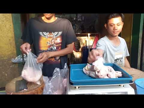 Ayam Dada Fillet Harga