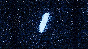 UFO Object Linked with 3I/ATLAS Revealed in First Images