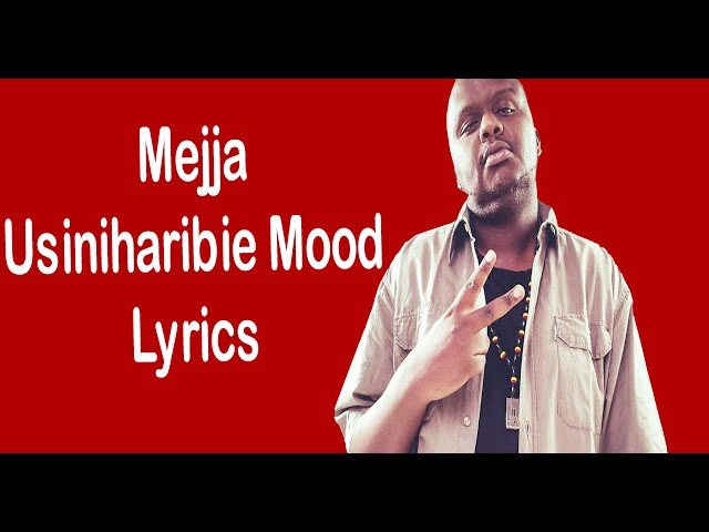 Mejja - Usiniharibie Mood Lyrics class=