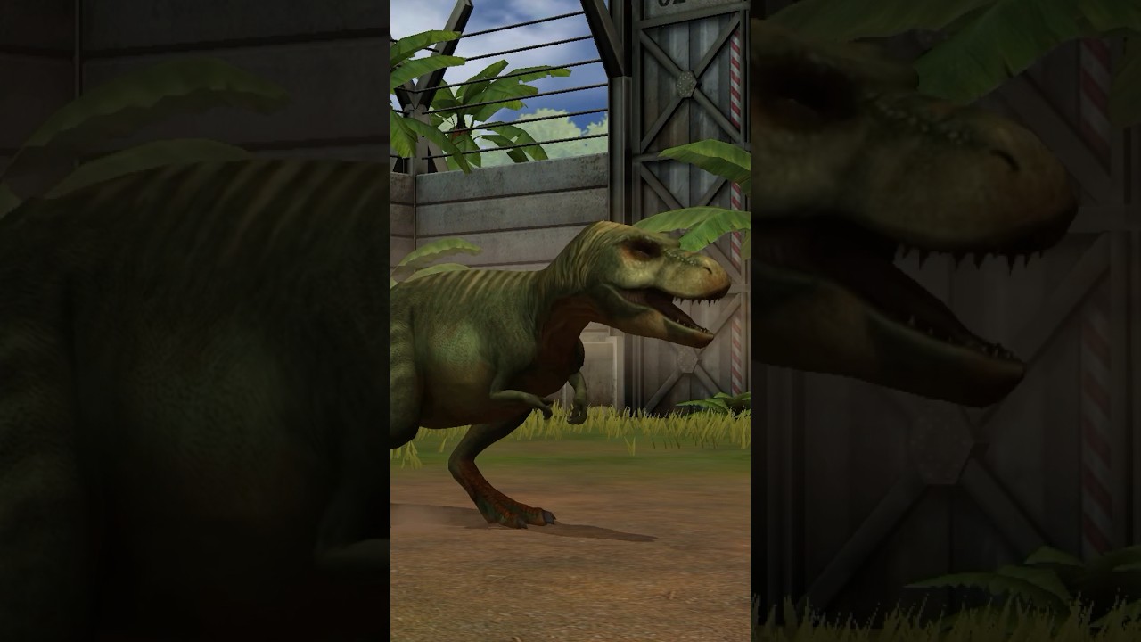 JUNIOR COMING ( Feeding ) 