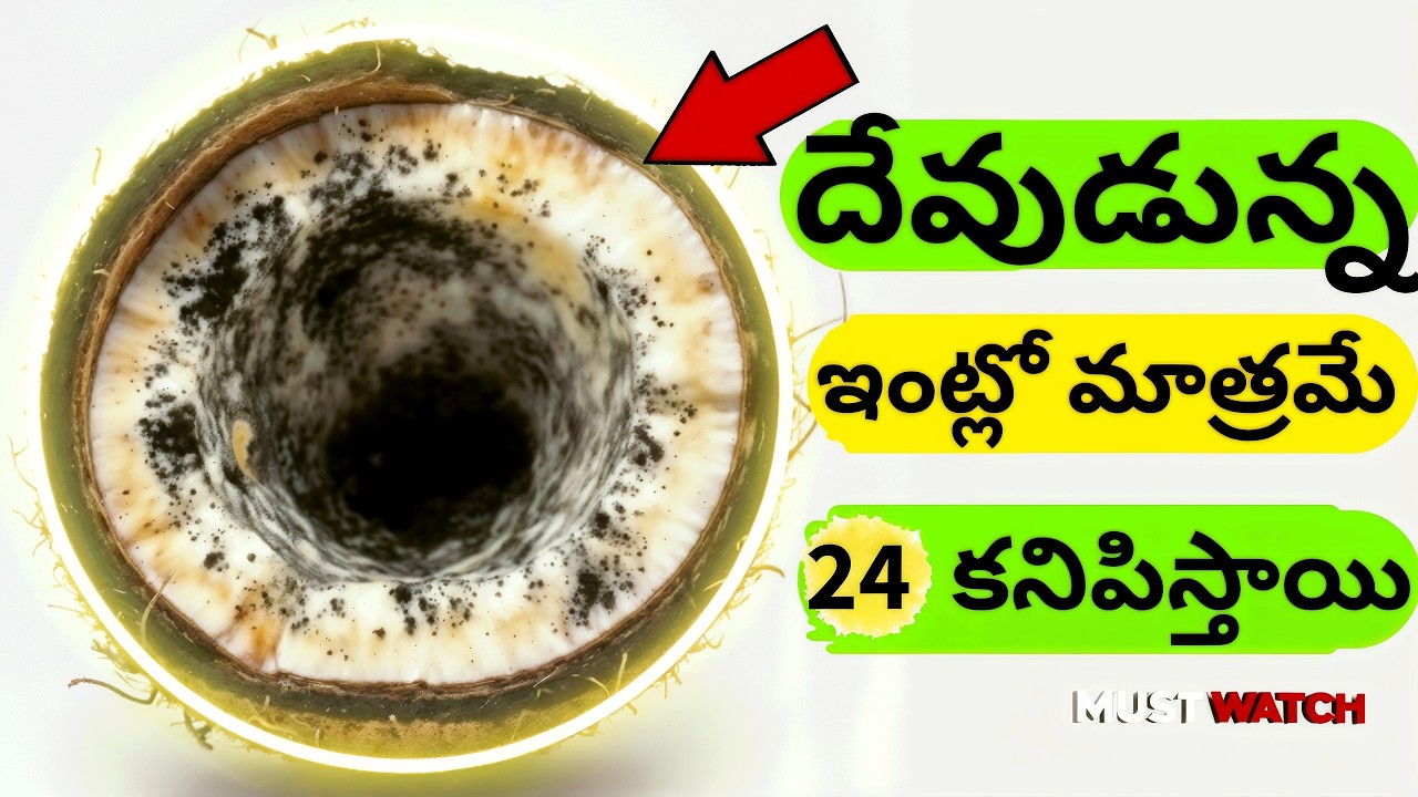 మీ ఇంట్లో దైవిక శక్తి ఉంటే ఈ 24 సంకేతాలు కనిపిస్తాయి #దేవుడు #astrology #భక్తి #తెలుగు #viralvideo