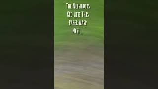 Kid Hits Paper Wasp Nest With A Basketball, And We All Got Swarmed