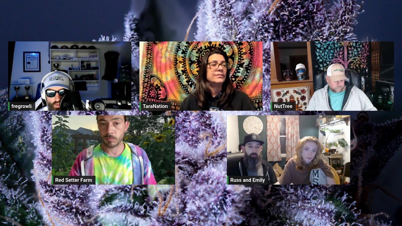 Michigan Bros Grow Show Episode 275