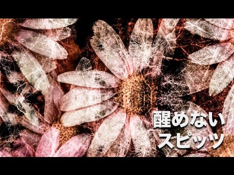 醒めない（さめない） / スピッツ ニューアルバム