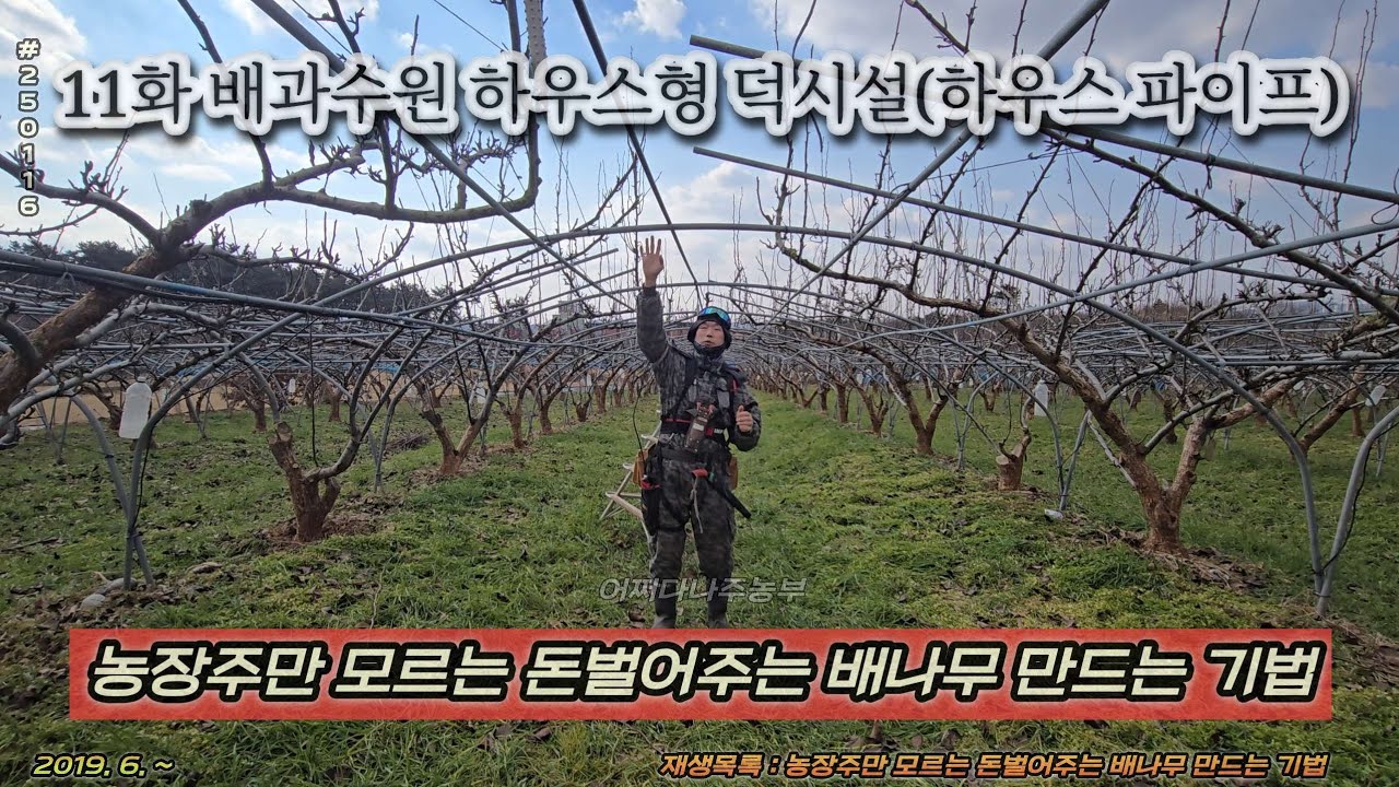 11화 배과수원 하우스형 덕시설(하우스 파이프) - 농장주만 모르는 돈벌어주는 배나무 만드는 기법 p250116