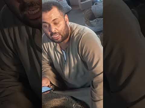 الباميه نزلت اكسبلور العبور