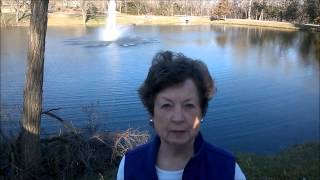 fountain