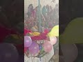 Krishana h