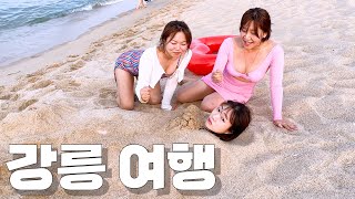 [폭스클럽]EP.45 강릉 레몬투어 출발합니다! 맛집 몇바꾸 돌고 경포대 좋게좋게 가자~!