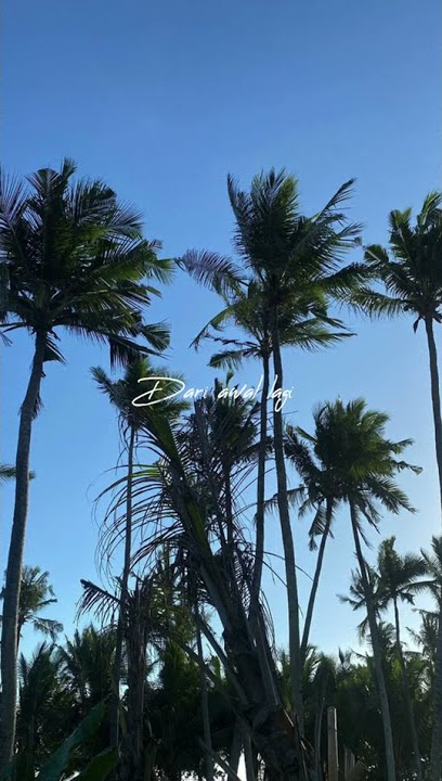 Genggam Sa Pu Tangan Rangkul Sa Kembali - Maafkanlah | Lagu Timur Terbaru 2021 Story Galau