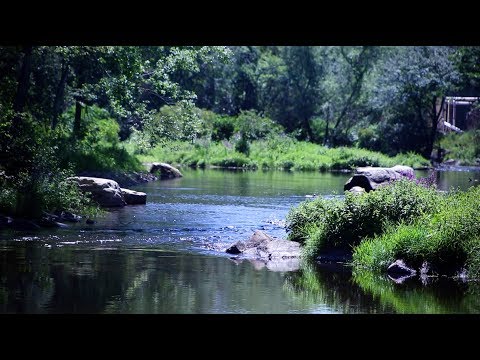 The Story of a River | Part One: The History of the Pawcatuck