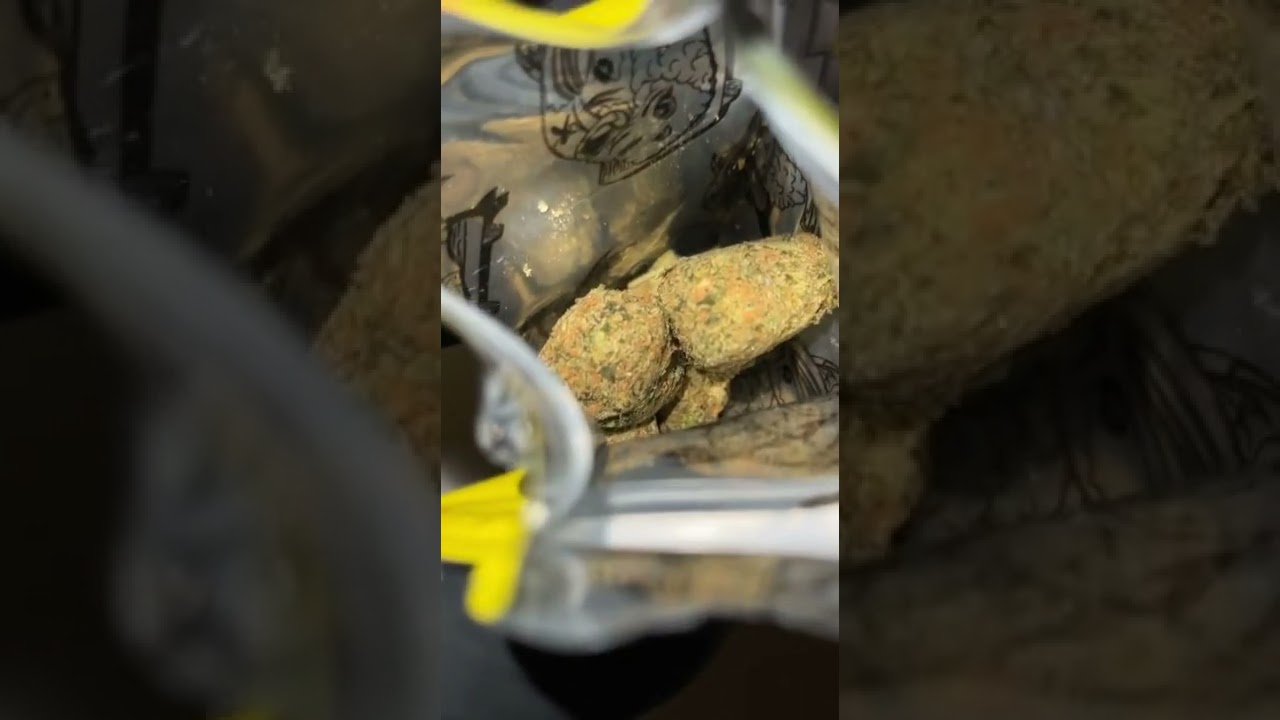 YELLOW ZUSHI TheTenCo 🍣🌈🍭🇺🇸