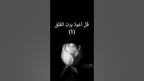سورة الناس+الفلق+الإخلاص بصوت الشيخ أحمد العجمي🌼🖤