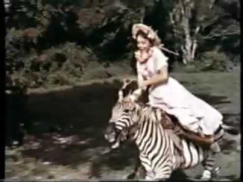Opening To Swiss Family Robinson 1997 VHS - YouTube