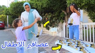 بنت صغيرة تبيع عصافير - شوف حصل اية !!