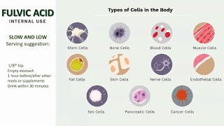 Detox Divas Invite You to learn more on favourite ways to use HBNaturals Fulvic Acid Powder