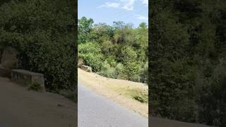 Surah Maryam Ayat 19 Urdu Translation qurantranslation qurantilawat quran