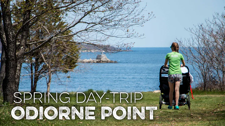 Spring Day-Trip to Odiorne Point