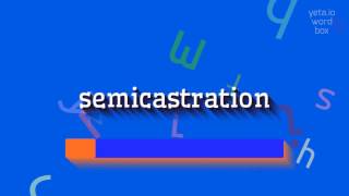 How To Say Semicastration High Quality Voices