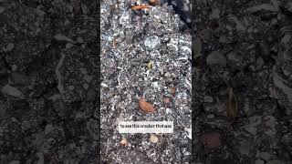 #afterschool #dalisha412 #excel #nature #STEM #funlearning