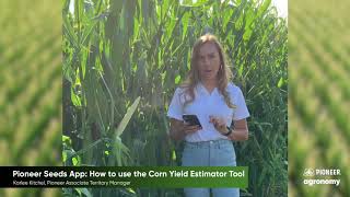 Pioneer Seeds App: How to use the Corn Yield Estimator Tool