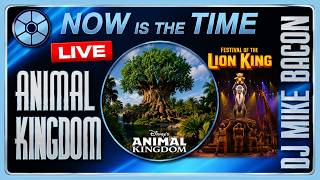 🔴 LIVE from Disney’s Animal Kingdom at Walt Disney World Orlando!