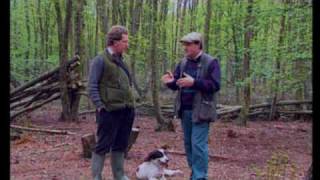 Sporting Scene - Advanced Spaniel Training for Field and Trials .