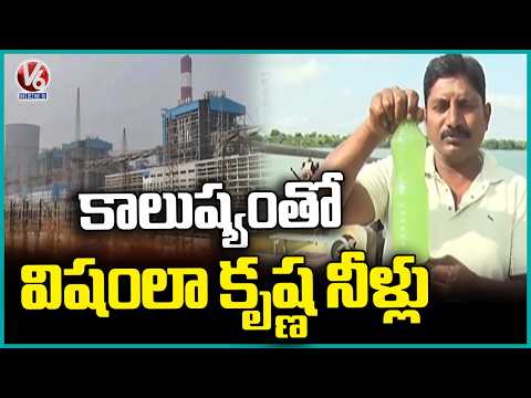 Krishna River Water Turns Toxic Due to Chemical Pollution | V6 News - V6NEWSTELUGU