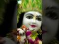 ऐसो हैरी मेरो गिरधारी #song #bhakti #trendingshorts