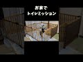 お家でトイレミッション