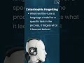 Why AI “Forgets” After Fine-Tuning?! Catastrophic Forgetting Explained #ai #machinelearning #llm