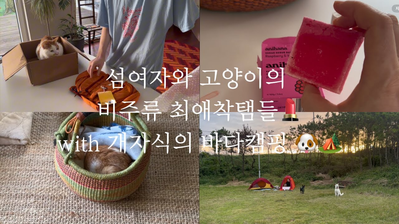 섬사람vlog🛶| 뭔데뭔데? 형씨 드루와 드루와💄👠 | 개자식들이랑 일출봉에서 1박🐶| 아우라카시아| 바비브라운| 프라나룸| 유스트| 애니하나| 사봉느와르|