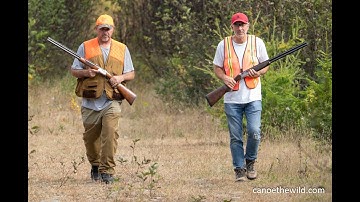 Upland Bird Hunting, Grouse Camp, Partridge, North Maine Woods