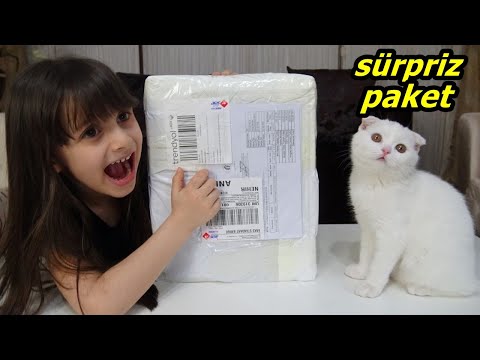 LİNA'YA SÜRPRİZ PAKET ! LİNA ÇOK SEVİNDİ ! PRENSES LİNA