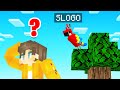 Hide & Seek With SHAPESHIFTING! (Minecraft)