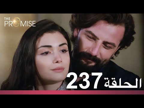 الوعد الحلقة 237