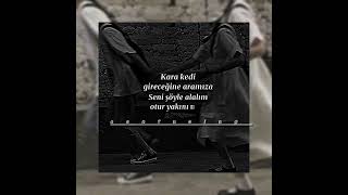 Kara Kedi Slowed Reverb Melis Fis Lyrics Şfet Şfetteyiz