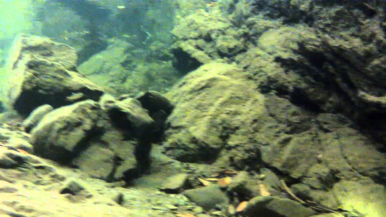 Gilliam Creek Snorkel. August 2012 riverdale
