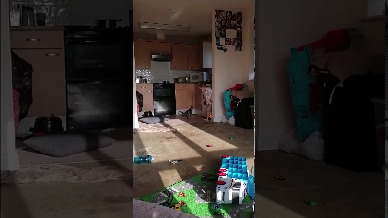 Cat jumps head first into washing Machine 😂