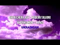 Cheri Cheri Lady Modern Talking Українською Lyrics