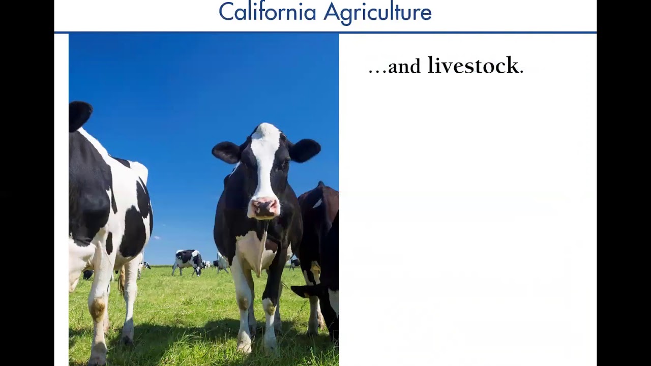 Potential for Diversified Perennial Cropping Systems (agroforestry) in California Agriculture