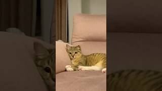 Our Sweet Moments In 2025